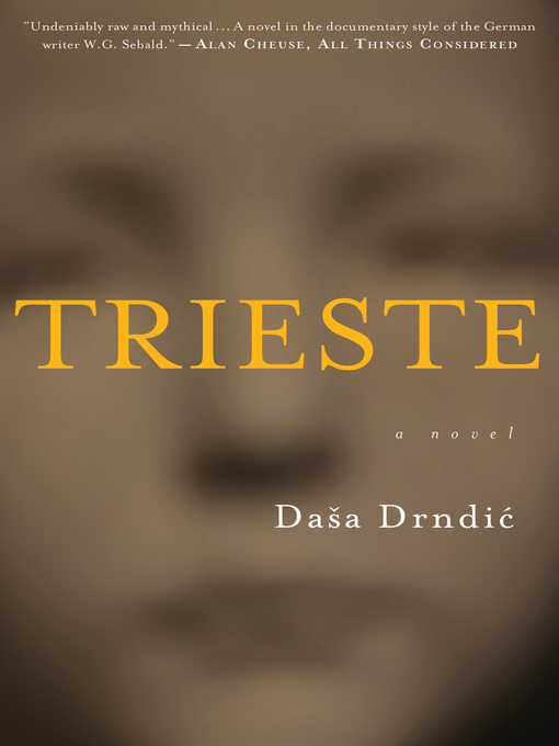 Title details for Trieste by Dasa Drndic - Wait list